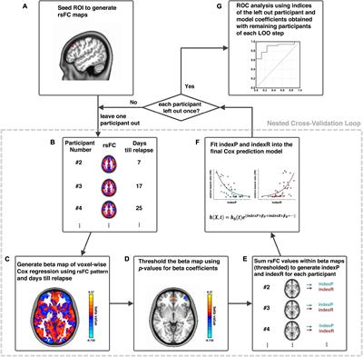 Cox Regression Based Modeling of Functional Connectivity and Treatment Outcome for Relapse Prediction and Disease Subtyping in Substance Use Disorder